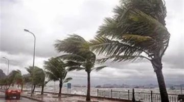 3 ظواهر جوية تؤثر على الأجواء خلال 72 ساعة.. تحذير خاص للقيادة